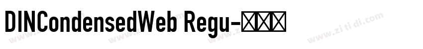 DINCondensedWeb Regu字体转换